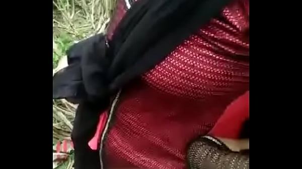 Ngentot