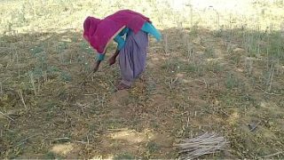 गांव के खेत में काम करती हुई उसकी देह को देसी लड़के ने चोदा