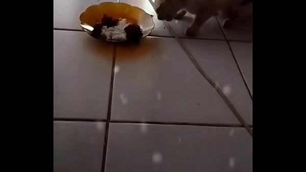 Anita, Siap Digoyang Sampai Lumer Dimakan Nafsu.